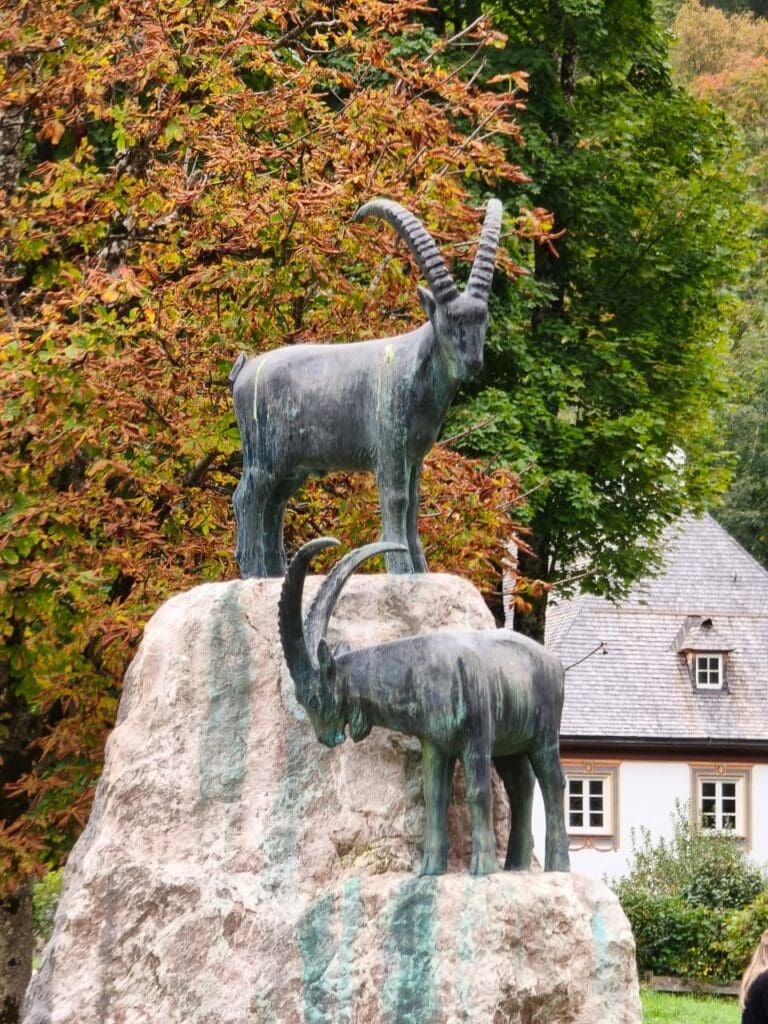 مراجعة-Xiaomi-15T-Pro