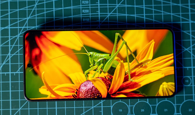 اختبار شاشة Vivo X300 Ultra